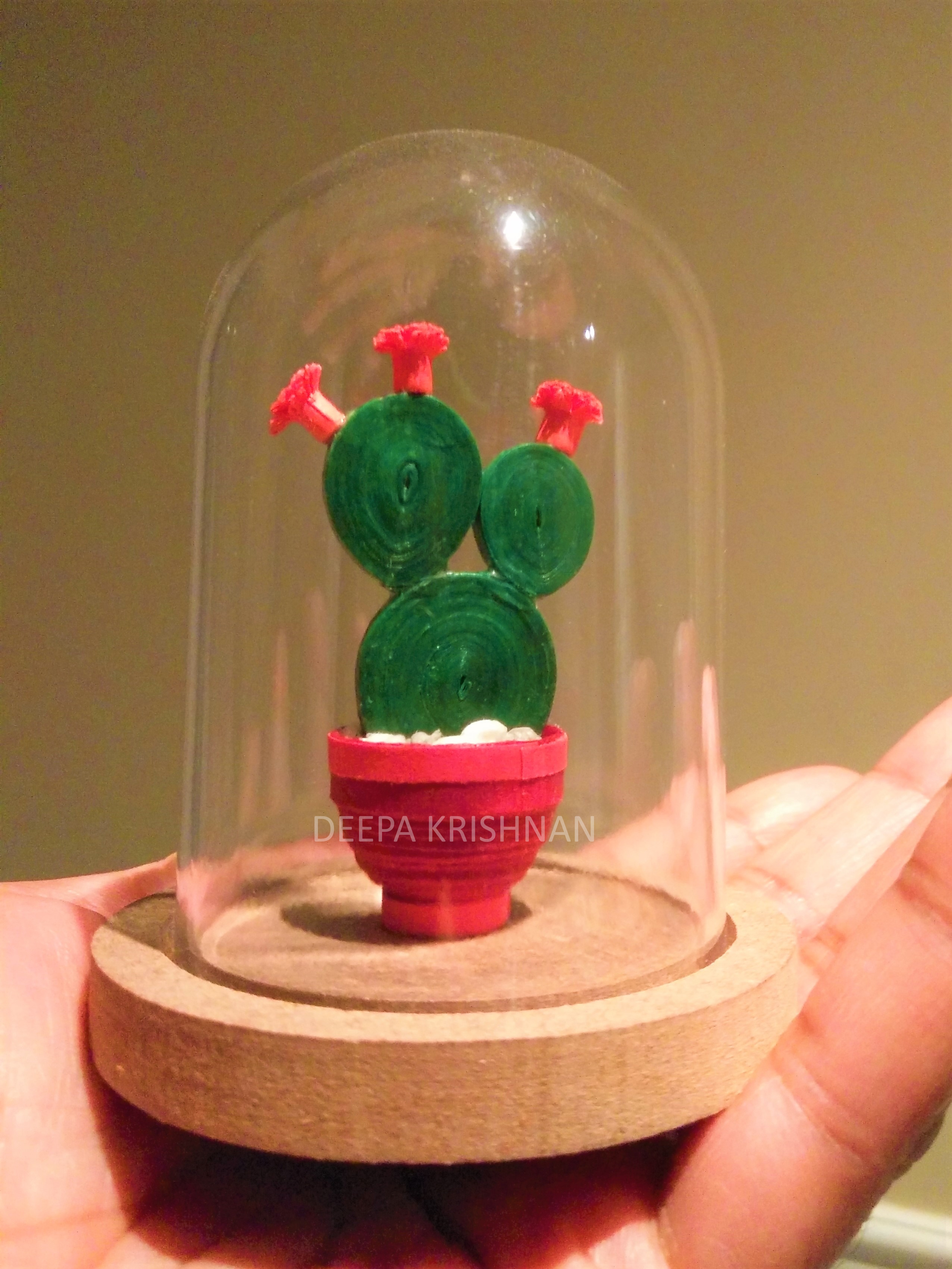 A Mini Succulent Terrarium  Paper Quilling experience project by Yaymaker