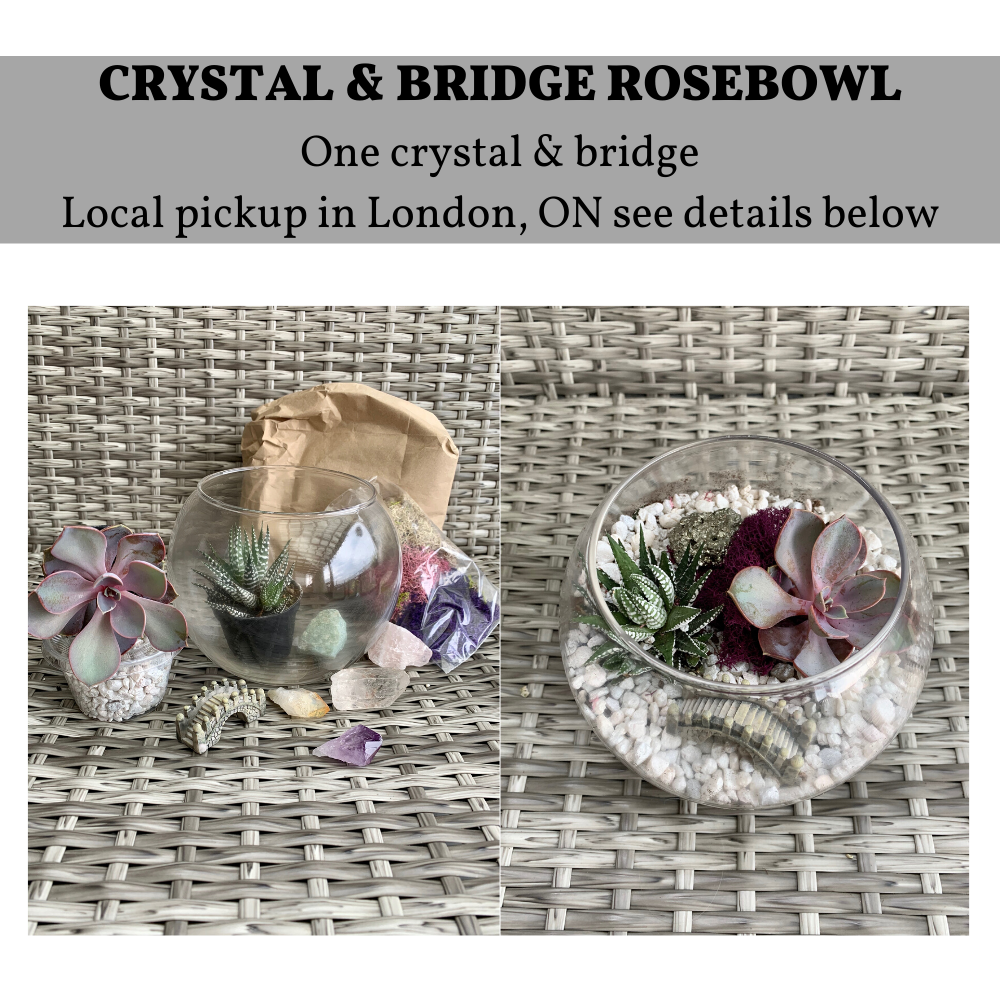 A DIY Rosebowl Planter Kit London ON Pickup experience project by Yaymaker