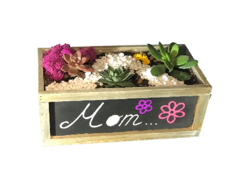 A Mothers Day Chalkboard Terrarium experience project by Yaymaker