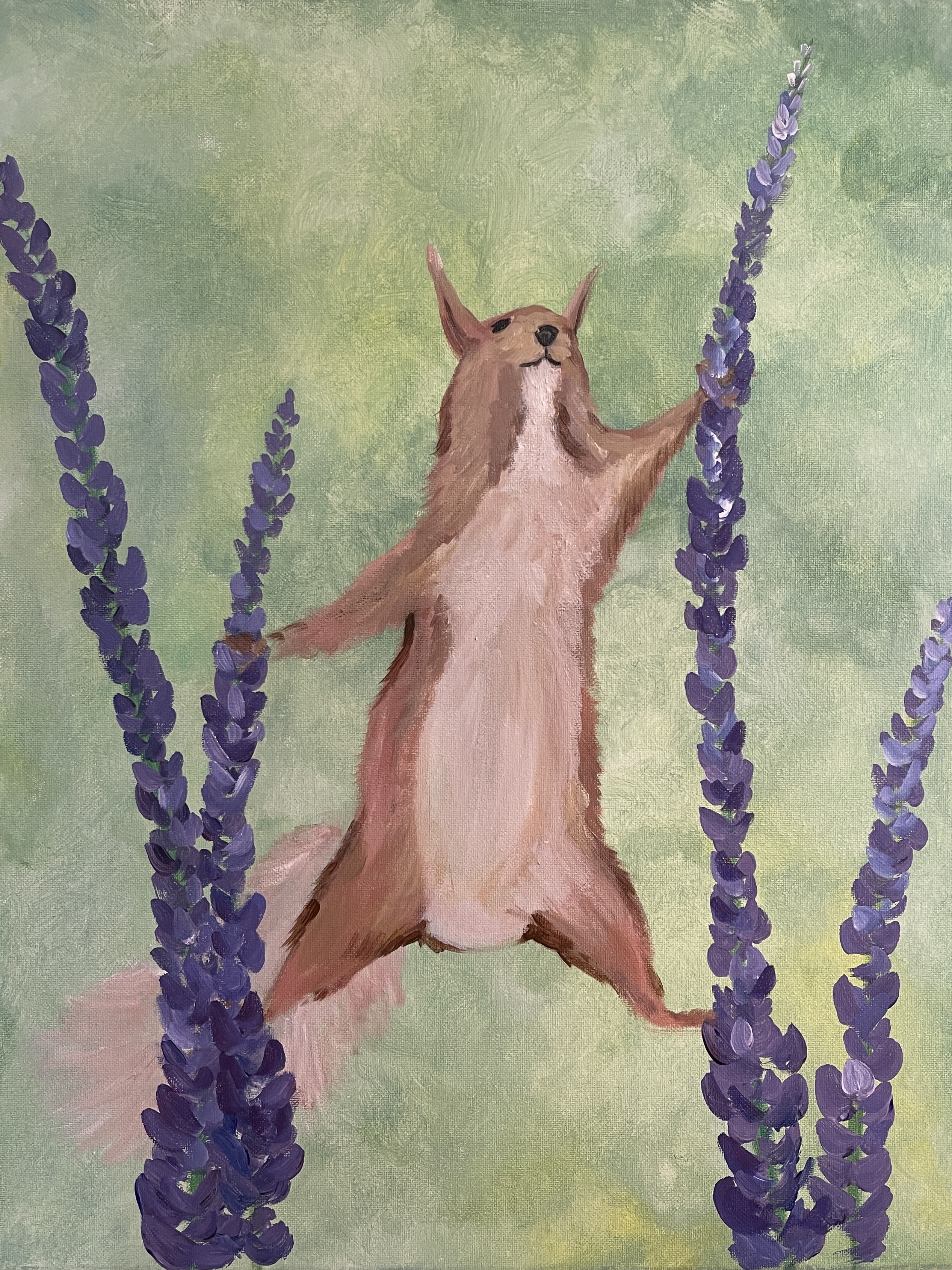 A Lavender Squirrel  experience project by Yaymaker