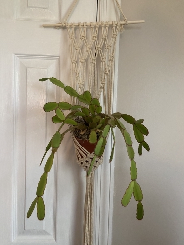 A Macrame String Art experience project by Yaymaker