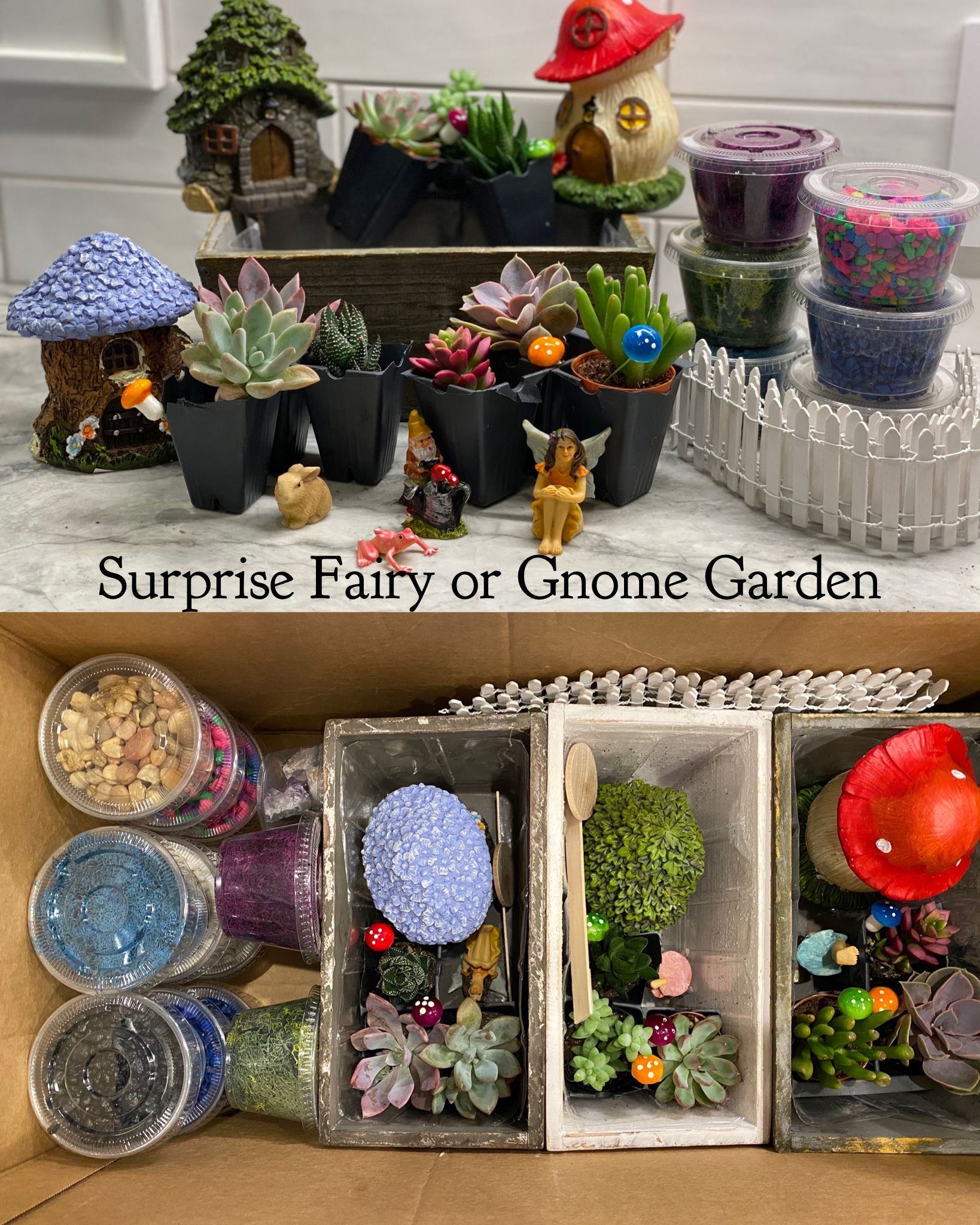 A Surprise Fairy or Gnome Garden Shipped to your location experience project by Yaymaker