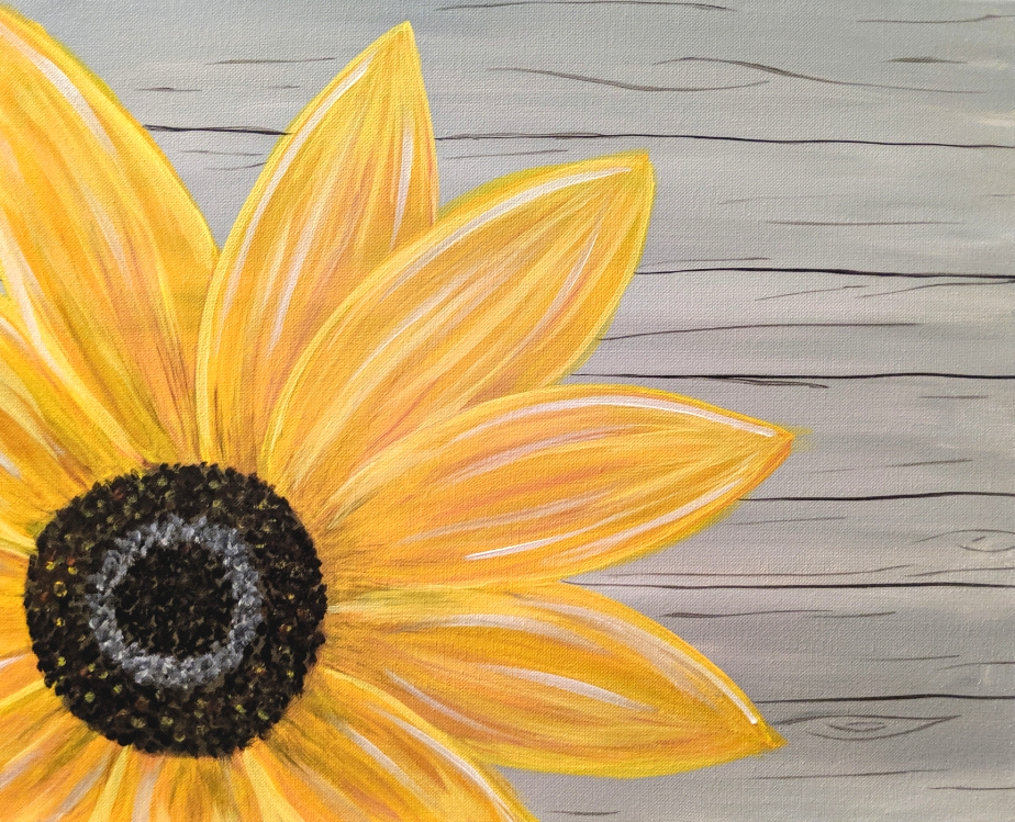 A Barnwood Sunflower experience project by Yaymaker