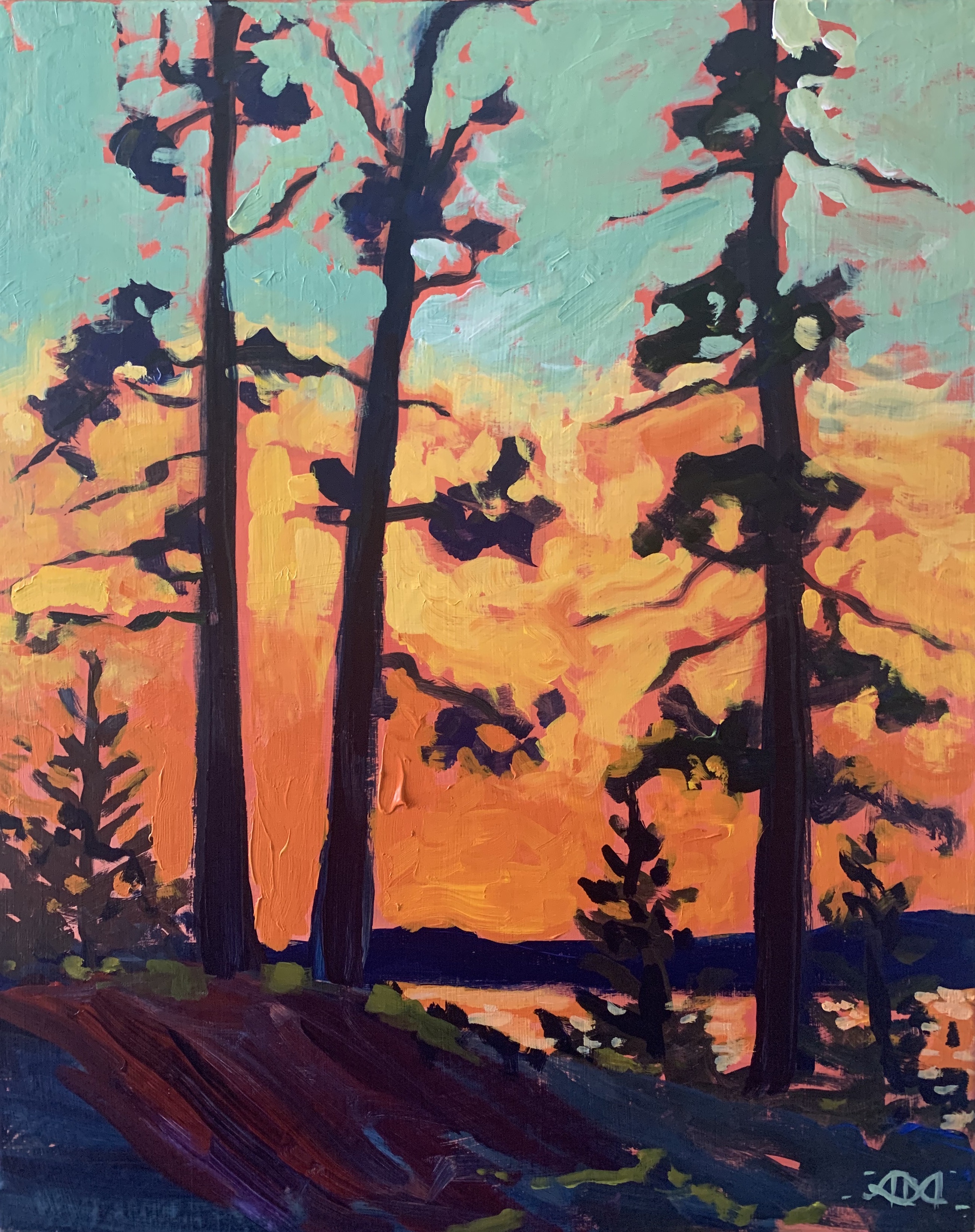 A Pine Trees at Sunset experience project by Yaymaker