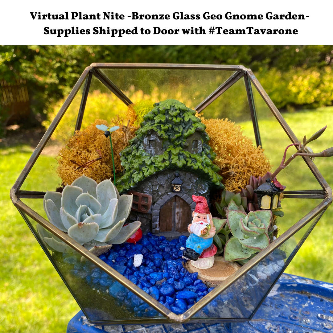 A Virtual Plant Nite Bronze Glass Geo Gnome Garden with Team Tavarone experience project by Yaymaker