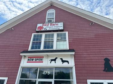 Red Barn Doggie Daycare