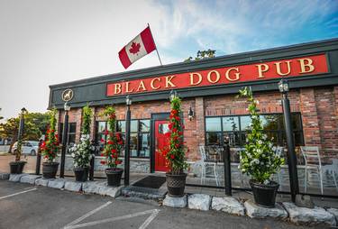 Black Dog Pub , SCARBOROUGH, ON | Yaymaker