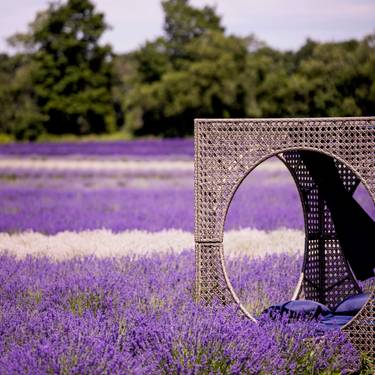 Avalon Lavender Farm