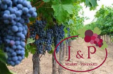 A photo of a Yaymaker Venue called J & P Winery Gettysburg located in Gettysburg, PA