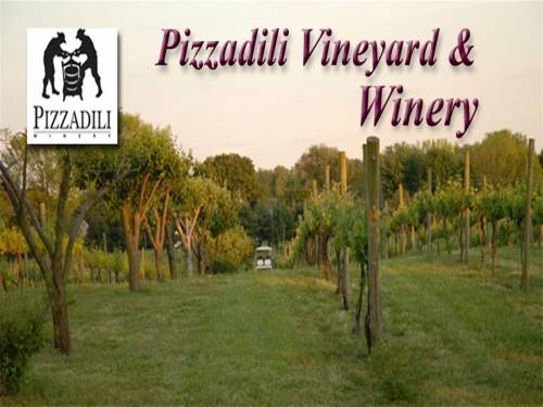 A photo of a Yaymaker Venue called Pizzadili Winery located in Felton, DE