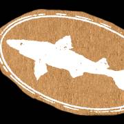 A photo of a Yaymaker Venue called Dogfish Head Brewery located in Rehoboth Beach, DE