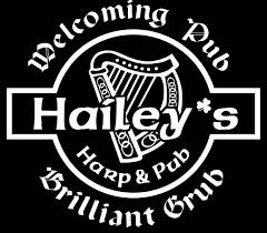A photo of a Yaymaker Venue called Hailey's Harp & Pub located in Metuchen, NJ