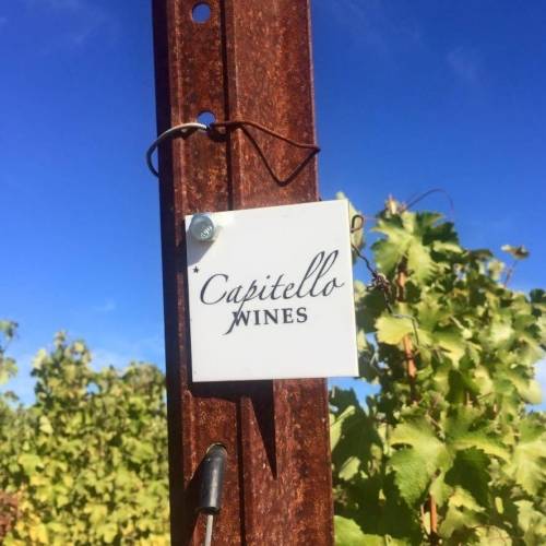 A photo of a Yaymaker Venue called Capitello Wines located in Eugene, OR