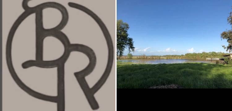 A photo of a Yaymaker Venue called Bradley Ranch Winery located in Elk Grove, CA