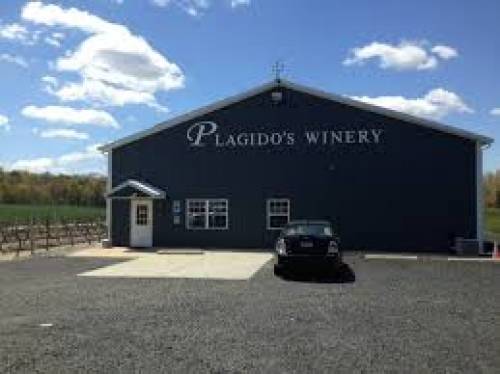A photo of a Yaymaker Venue called Plagido's Winery located in Hammonton, NJ